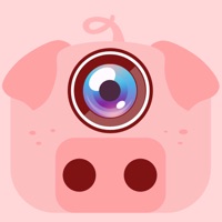 小猪相机