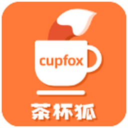 茶杯狐Cupfox